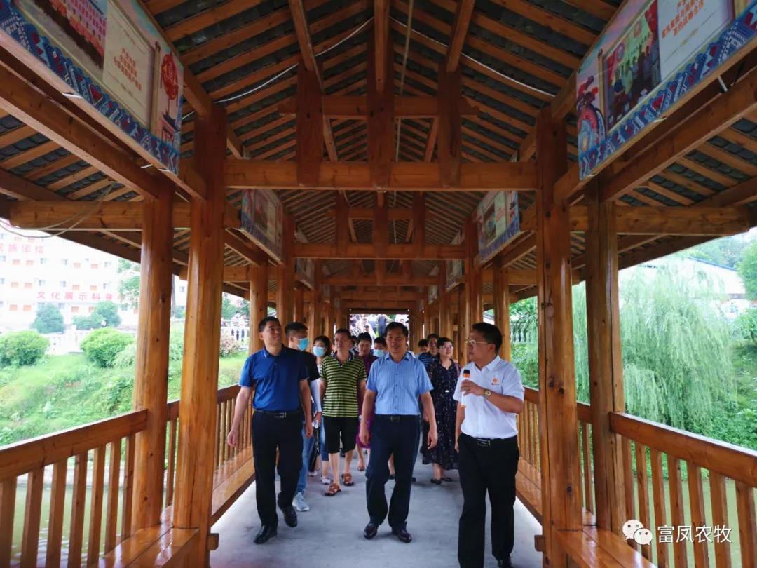 广西AG真人国际农牧集团